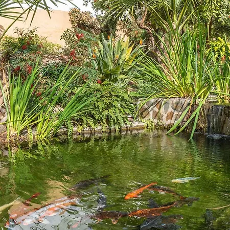Palmas 2a Oasis Dom wakacyjny Nerja