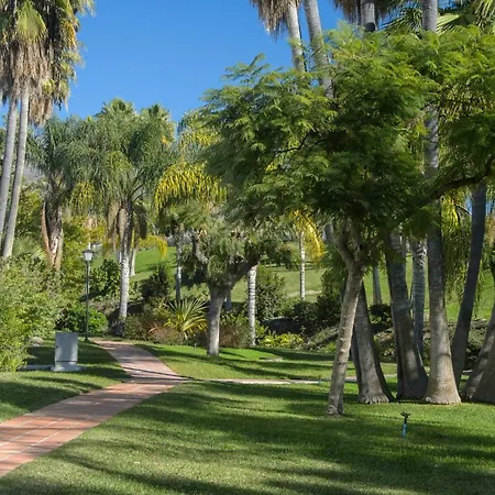 Palmas 2a Oasis *
