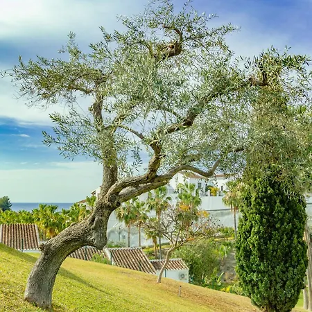 Palmas 2a Oasis Nerja